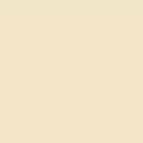 Florence cardstock texture (simil bazzil) 12x12" 216gr raffia