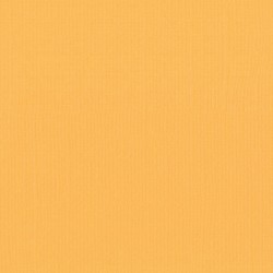 Mango - Florence cardstock texture (simil bazzil) 12x12" 216gr